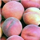 Peaches